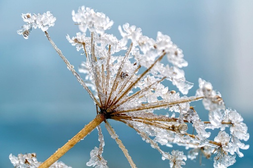 Hydrolathérapie Maux d'hiver